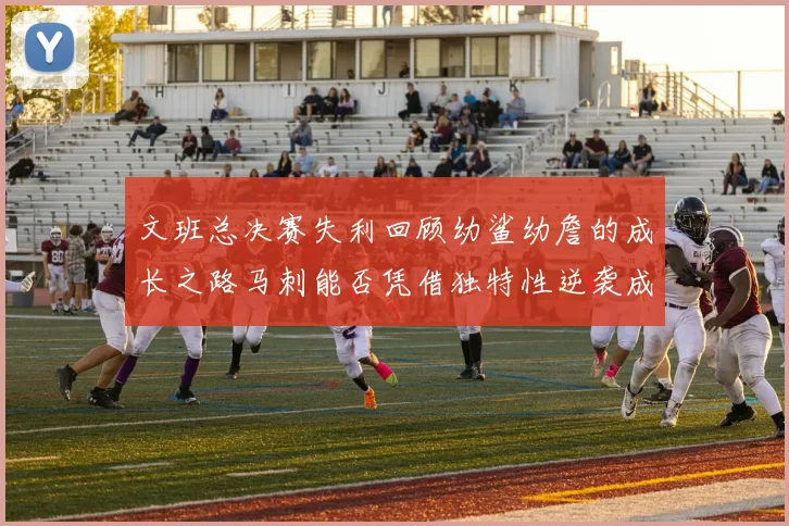 文班总决赛失利回顾幼鲨幼詹的成长之路马刺能否凭借独特性逆袭成功